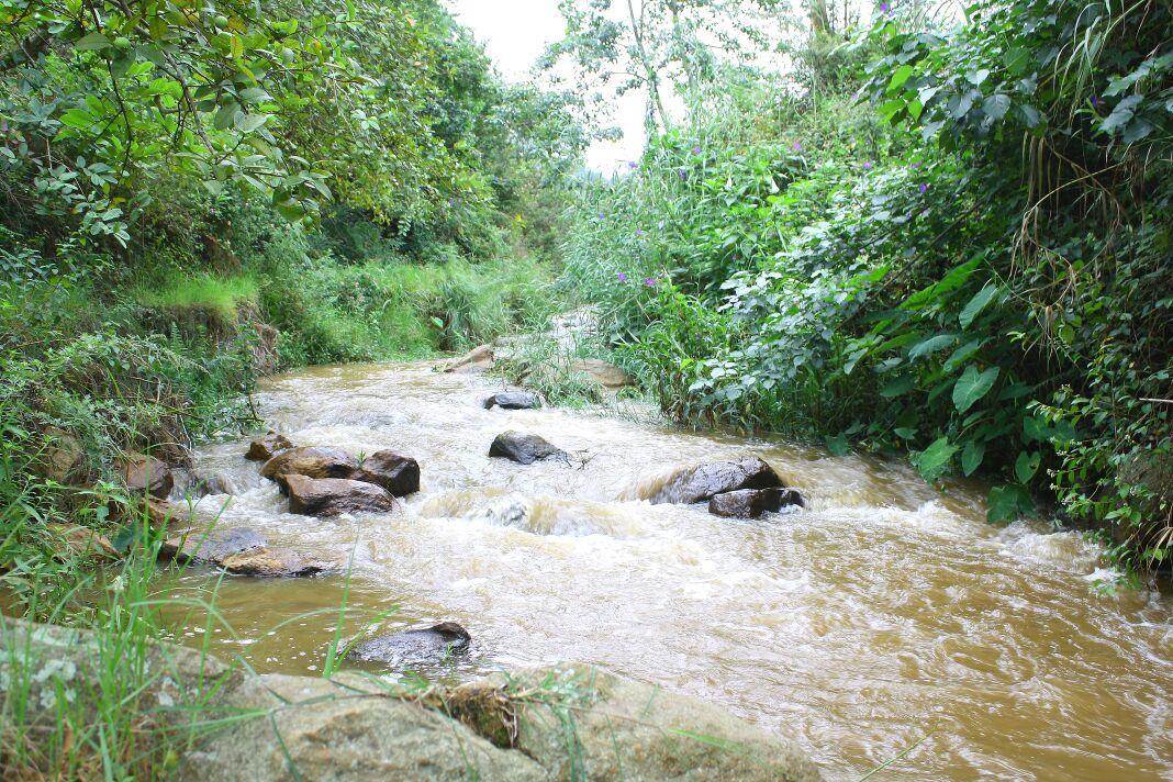 Rustling River Resort أوتي المظهر الخارجي الصورة